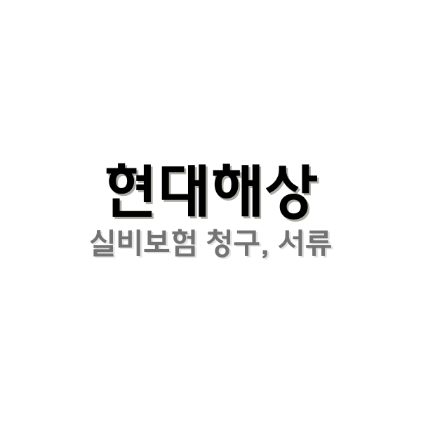 현대해상 실비보험