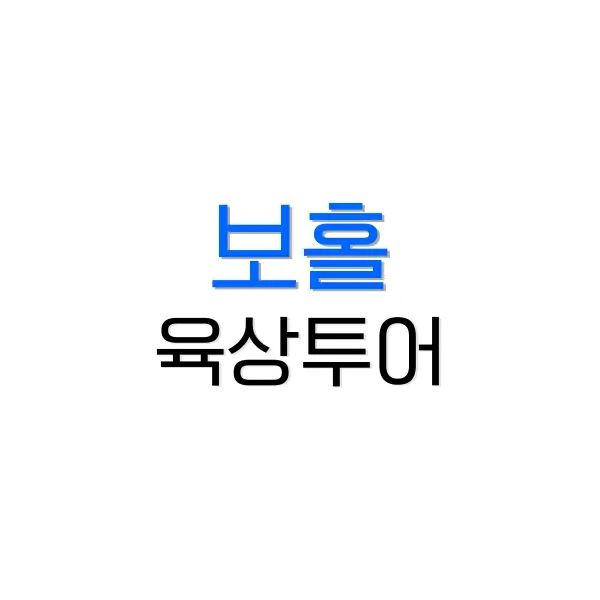 보홀 자유여행 육상투어 완전 정복: 초콜릿 힐 포함 필수 코스 안내 6 후쿠오카 2박 3일 여행 코스