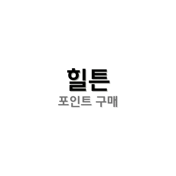 힐튼 포인트