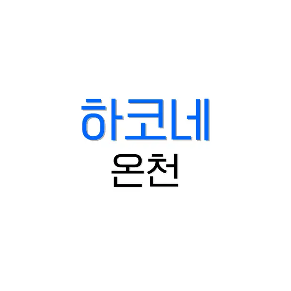 비짓재팬 웹