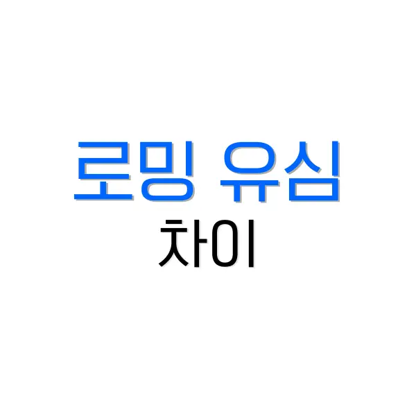 로밍 유심 차이, 해외여행 중 어떤게 더 편한가 2 테슬라 프리미엄 커넥티비티