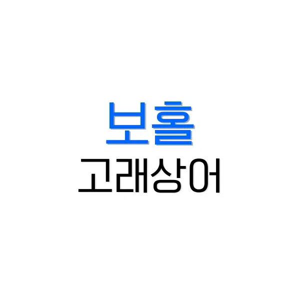 보홀 고래상어 투어 가격, 현지에서 직접 예약 6 테슬라 프리미엄 커넥티비티