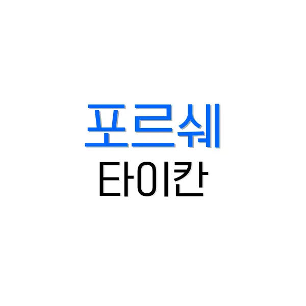 포르쉐 타이칸