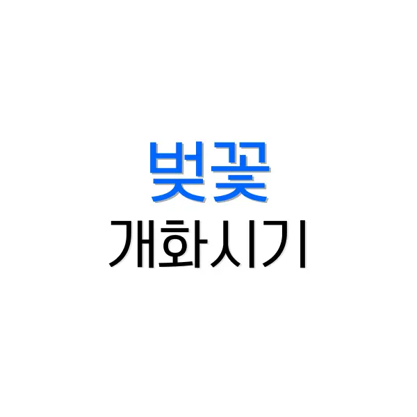 기내용 캐리어 사이즈